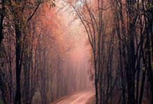 开云体育官网：王大雷：失误就是失误没什么好说的，说实话我也没看到球过来.